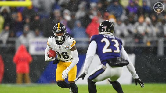 Steelers’ AFC North Rivals All Have 1 Big Problem In 2024 NFL Offseason (Steelers News)